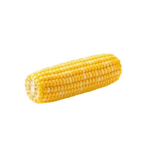 Boiled corn on the cob